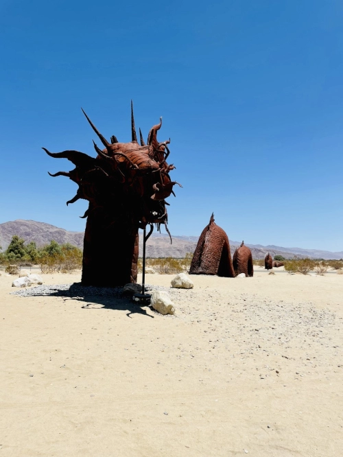 California on the road: tra PCH e deserti, l’essenza del viaggio americano
